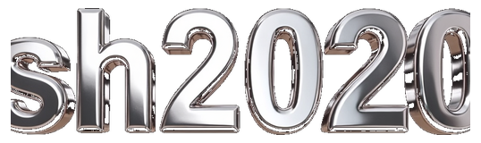 sh2020 logo